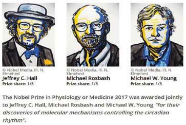 نوبل پزشکی 2017 اهدا شد