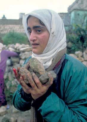 نمایش عکس‌های فلسطین 28ساله