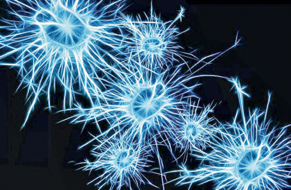 نورون‌ها می‌توانند اطلاعات مغز را  فیلتر کنند‍