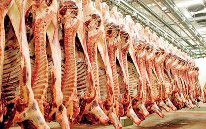 گام جدید برای تنظیم بازار گوشت