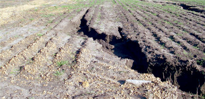 لایحه‌ای برای مقابله با فرسایش خاک