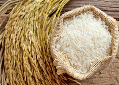 وزارت بهداشت بر برنج وارداتی نظارت دارد