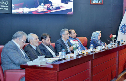رایزنی اقتصادی  اتاق تهران با سیاستگذار