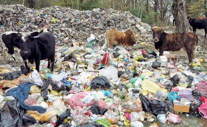 تولید بیش از ۶ هزار تن زباله در استان‌های شمالی