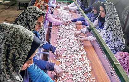 منشا تولید کالای ایرانی در روستاها