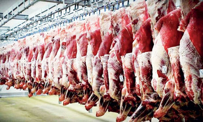 نیاز ۱۰ درصدی واردات گوشت در صورت مهار قاچاق دام