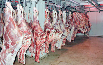 نقش کاهش قاچاق در نوسان قیمت گوشت