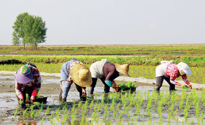 شکاف چشمگیر دستمزدی میان کشاورزان زن و مرد