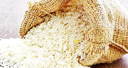 دلالان 
در بازار برنج
جولان ‌می‌دهند