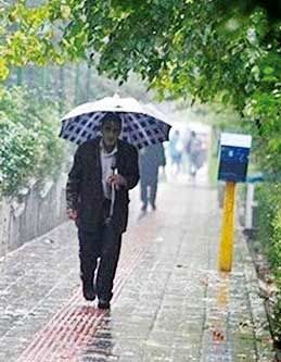 بارش باران در ۱۵ استان