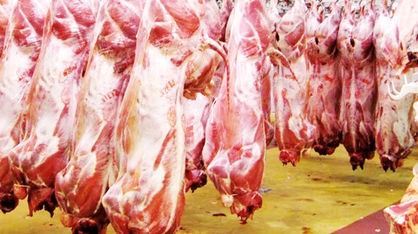 برنامه‌ای برای واردات انبوه گوشت از صربستان نداریم