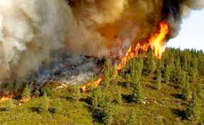 پیش‌بینی احتمال افزایش آتش‌سوزی جنگل‌ها در سال آینده