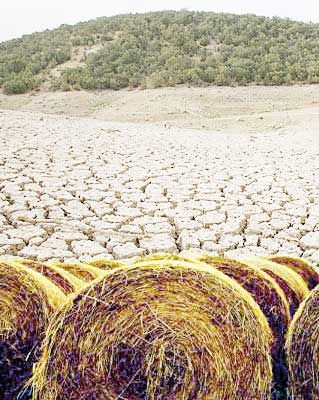 افزایش  فشار  بر مراتع کشور  با کاهش  میزان بارش‌ها