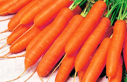 هویج با ۲۵۵ درصد، از رشد قیمت روغن پیشی گرفت