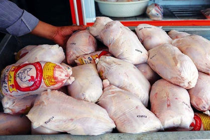 مصرف مرغ با افت توان خرید مصرف‌کنندگان ۲۵ تا ۳۰ درصد کاهش یافت