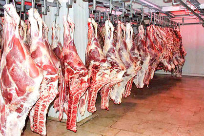 عرضه گوشت گرم وارداتی به تعویق افتاد