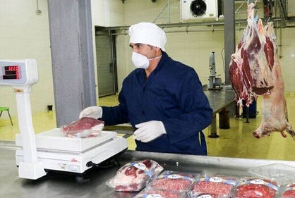 توزیع گوشت 220 هزار تومانی آغاز شد