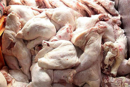 هشدار درباره گرانی قیمت مرغ