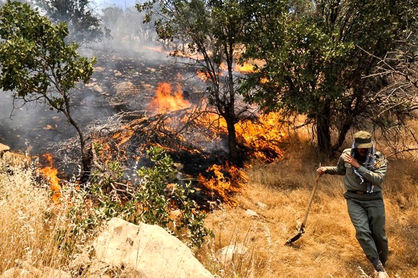 آتش‌سوزی گسترده در جنگل‌های گلستان+ ویدئو