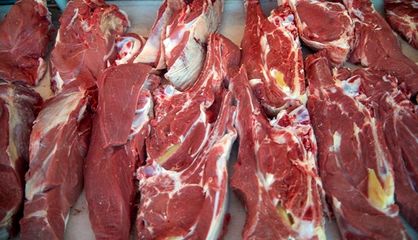 افزایش قیمت گوشت منطقی است