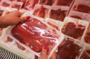 تنها راه کاهش قیمت گوشت در بازار