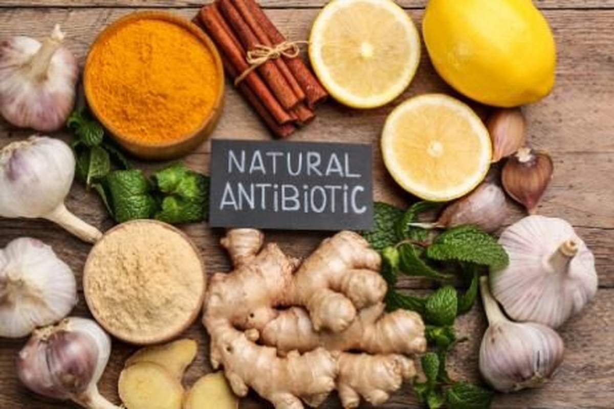 آنتی‌بیوتیک‌های طبیعی را بیشتر بشناسید