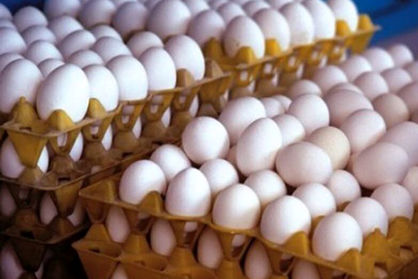 قیمت جدید تخم‌مرغ تکذیب شد/ قیمت تخم‌مرغ باید در ستاد تنظیم بازار مصوب شود