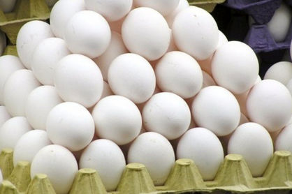 عرضه عمده تخم‌مرغ زیر نرخ مصوب/ تخم‌مرغ در میادین تره‌بار و بازار کیلویی چند؟