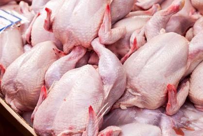 ظرفیت صادرات حدود یک میلیون تن مرغ در سال را داریم