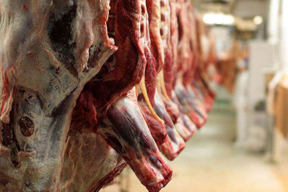 قیمت گوشت قرمز در بازار و میادین تره‌بار چند؟