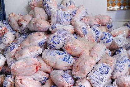 آغاز توزیع ۶۰۰ تن مرغ گرم و منجمد در بازار