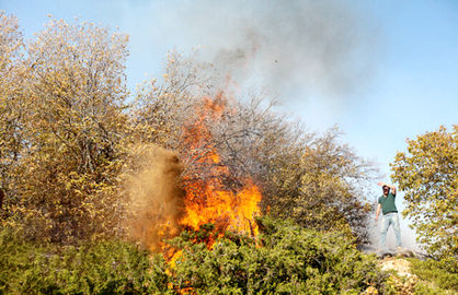 ۳۰۰ هکتار از جنگل‌های مریوان در محاصره آتش