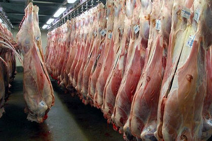 اعلام قیمت جدید گوشت/ گوشت گوسفندی تنظیم بازاری خارجی و ایرانی چند؟