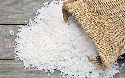 هر کیلو برنج ایرانی تازه و کهنه چند؟