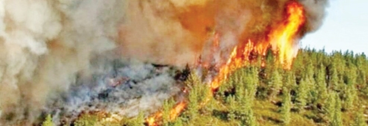 آتش‌سوزي در ۴۰۹ هكتار از ابتداي پاييز تاكنون
