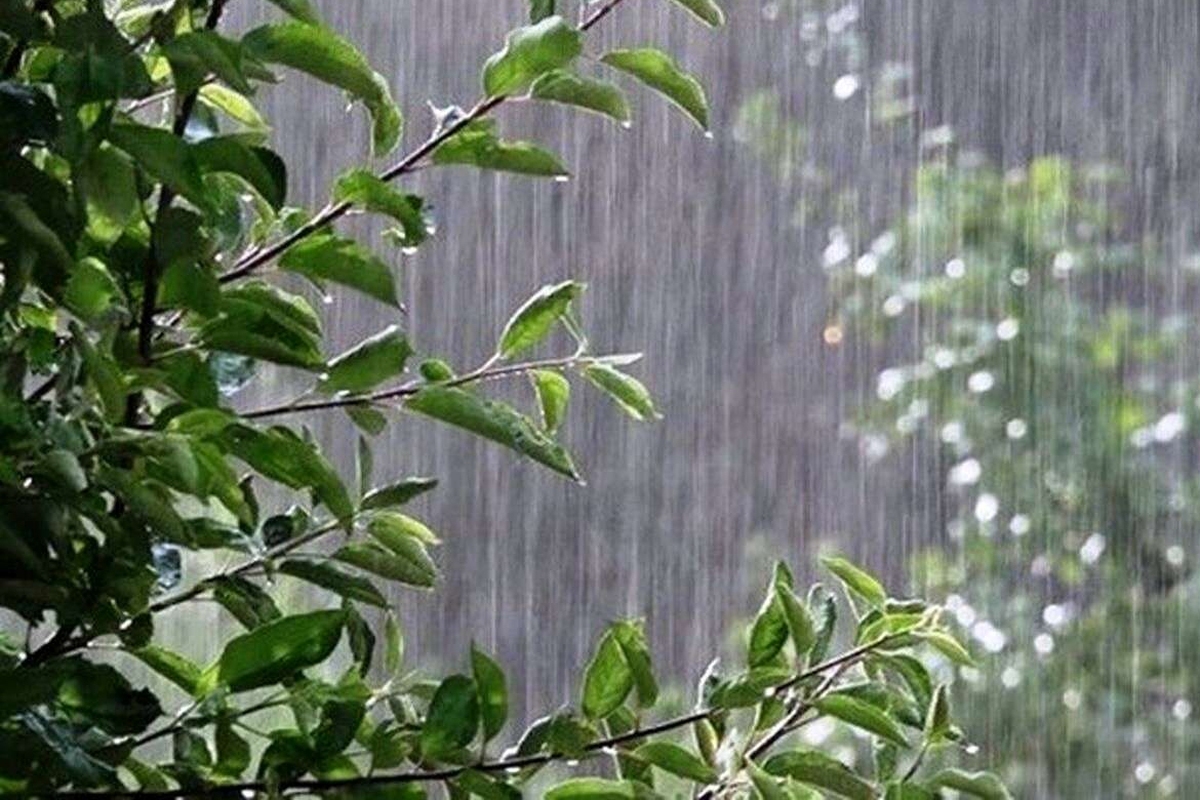 ورود سامانه بارشی جدید به کشور از روز چهارشنبه/ این استان‌ها بارانی می‌شوند