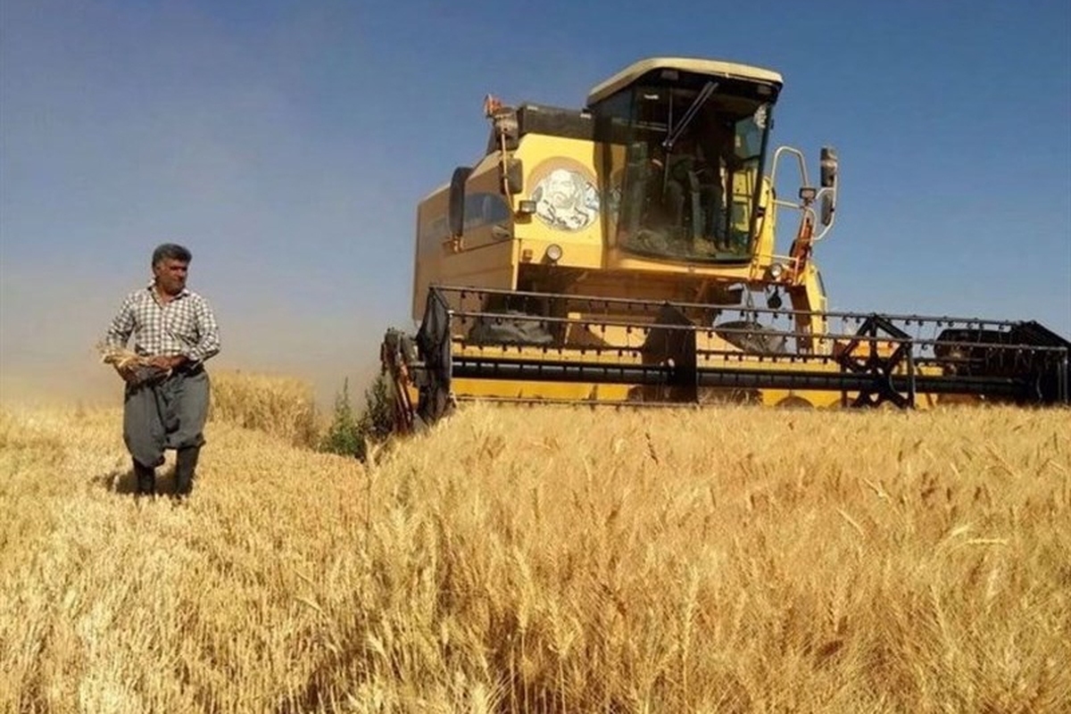 مجلس به وزیر جهاد کشاورزی التیماتوم داد/ قیمت گندم بالاخره اعلام می‌شود؟