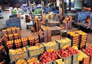اعلام قیمت انواع میوه در میادین میوه و تره‌بار/ هر کارتن آناناس، یک میلیون تومان