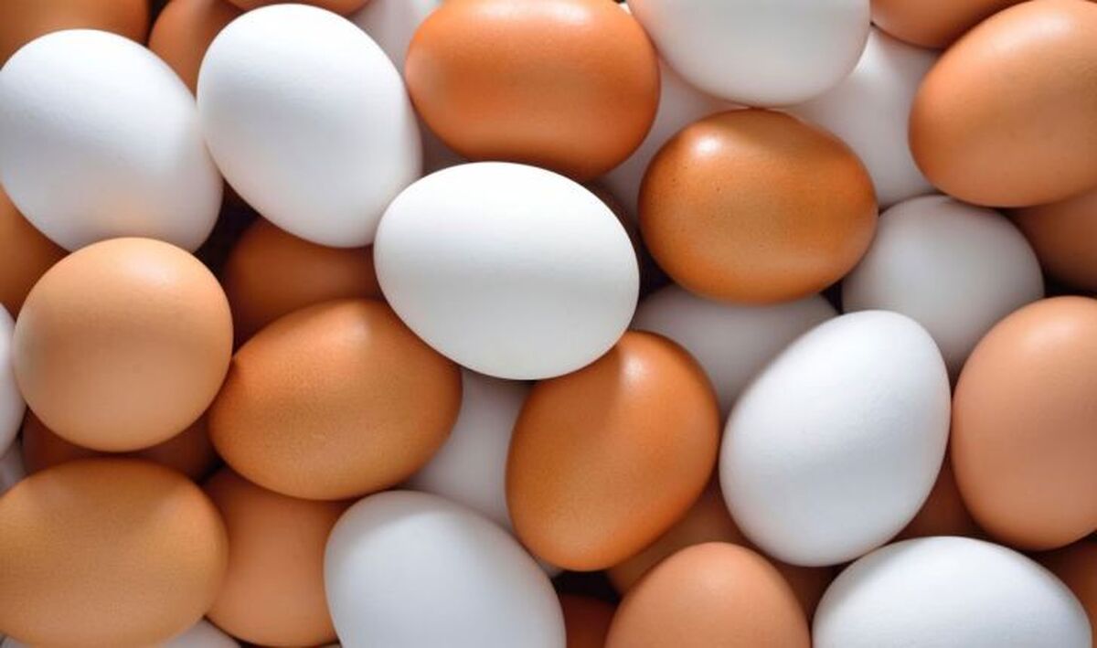 قیمت تخم‌مرغ در سال جدید اعلام شد