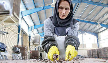 ثبت‌نام متقاضیان وام اشتغال روستایی در سامانه کارا