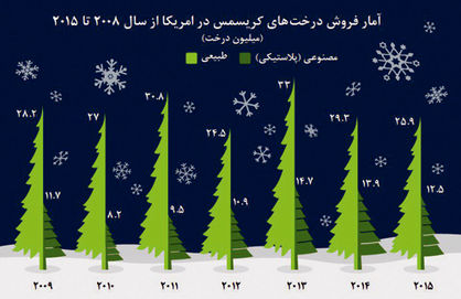 رونق در بازار کاج‌ها