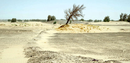 سیستان و بلوچستان در مه و شن