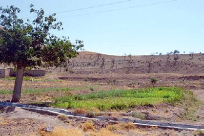 سرزمین خورشید جان گرفت