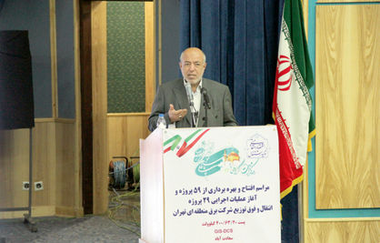 آخرین تلاش چیتچیان برای درمان اقتصاد برق