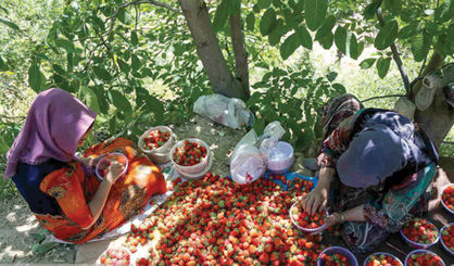 کاهش یک درصدی نرخ بیکاری