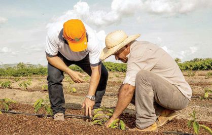 وام ۱۰۰ میلیون تومانی برای ایجاد گلخانههای کوچک