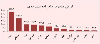 دام‌ افریقایی در کشورهای همسایه