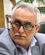 سرمایهگذاران آلمانی از منطقه ویژه بوشهر دیدن کردند