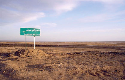 زخم «گاو خونی»