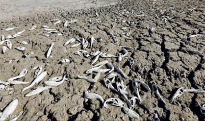 سیستان و بلوچستان آیینه تمامقد مشکلات محیط زیستی